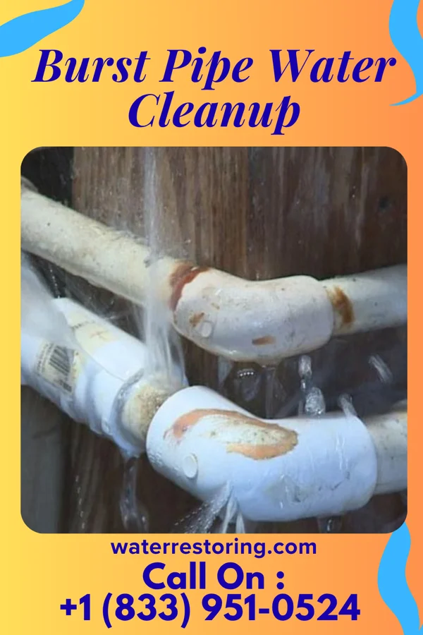 Burst Pipe Water Cleanup in Fruit Heights, UT