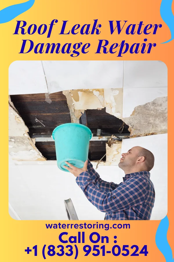 Roof Leak Water Damage Repair in Fruit Heights, UT